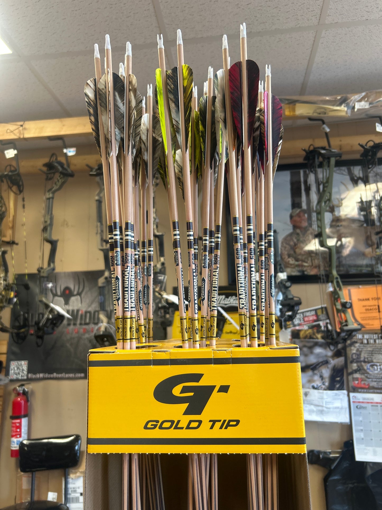 Gold Tip Traditional Arrows(Pre-Fletched)