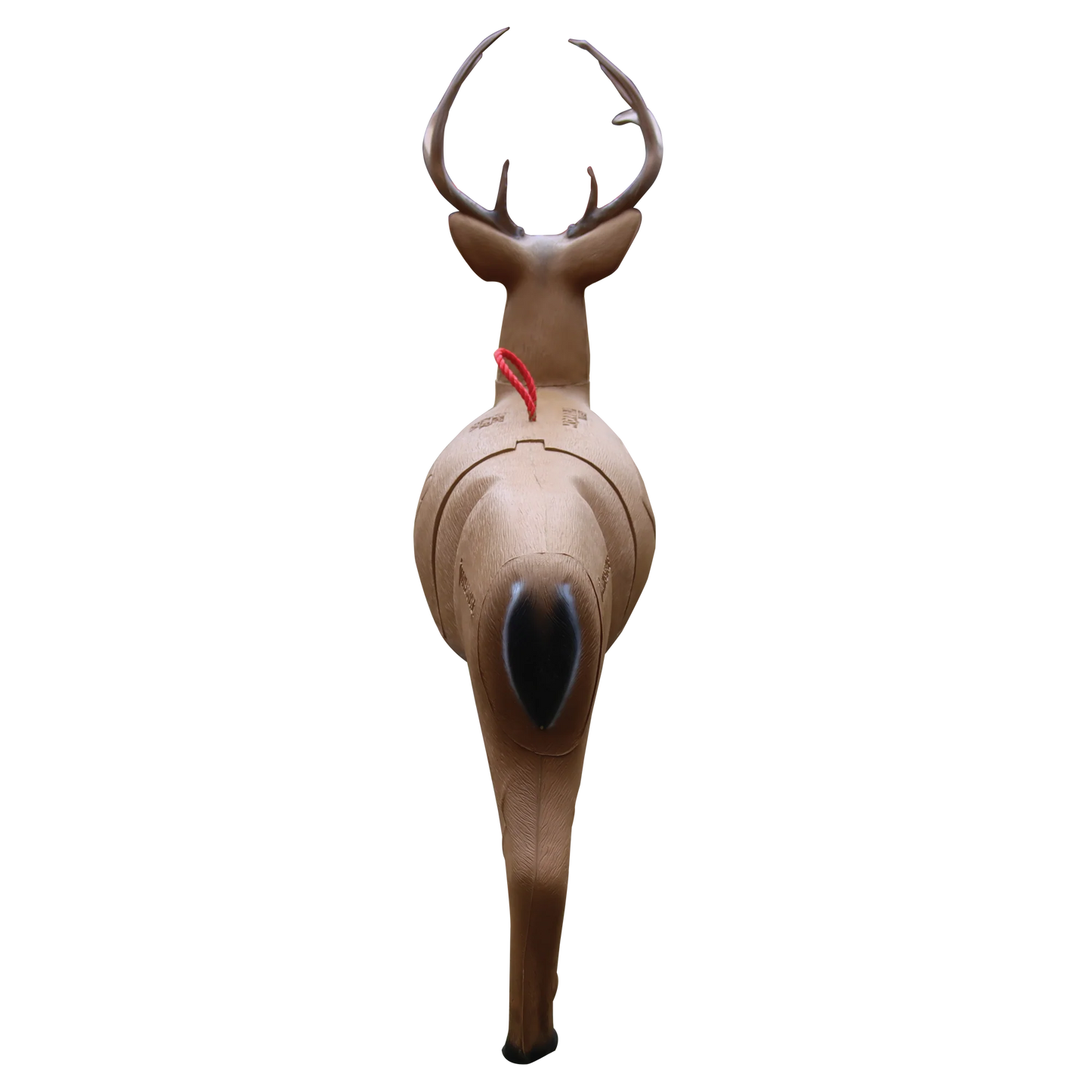 Morrell Transformer Buck