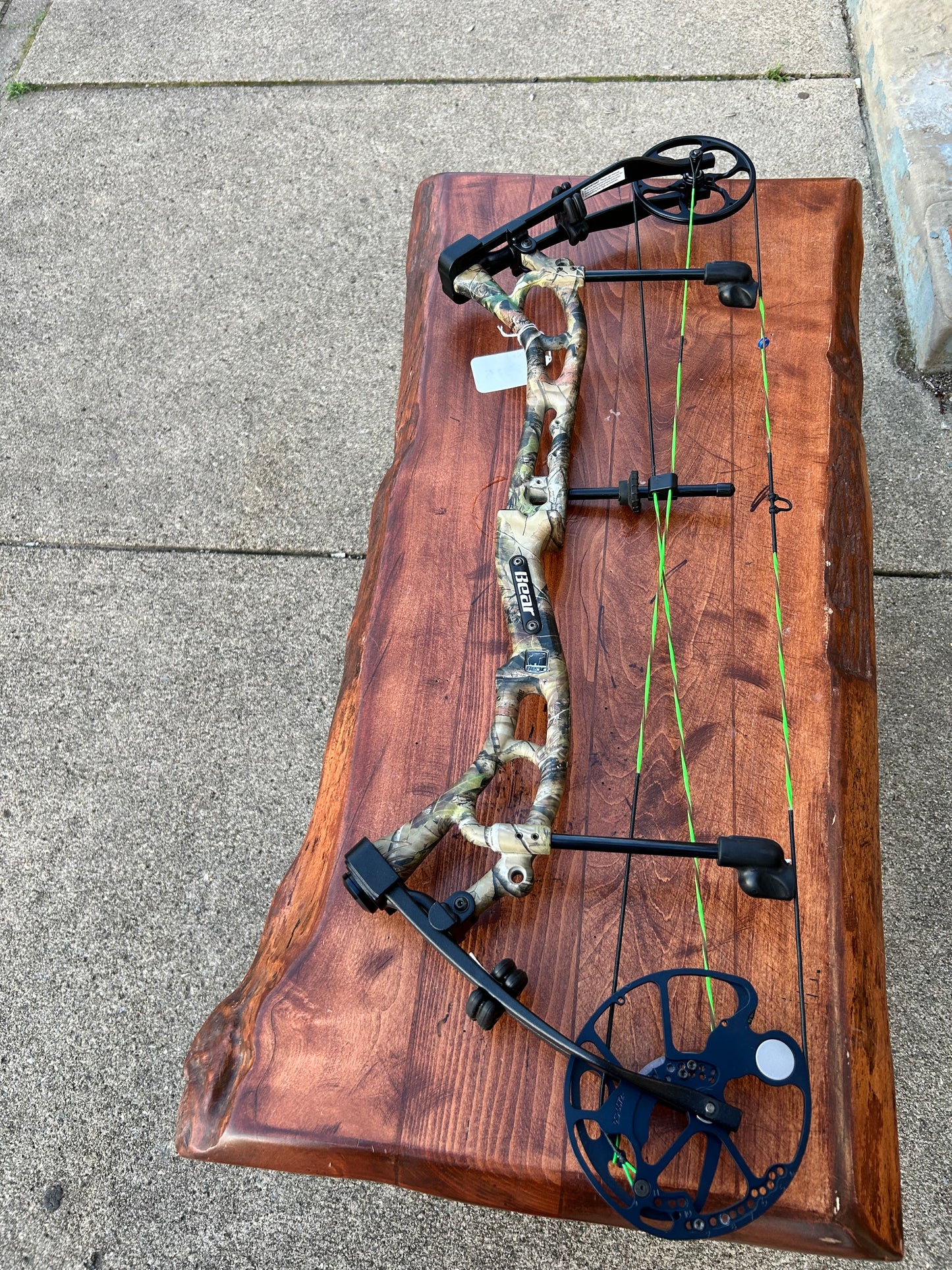 Used Bear Archery Authority/60 pound