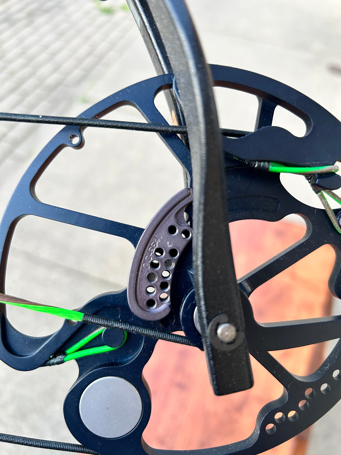 Used Bear Archery Authority/60 pound