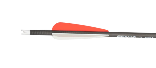 Bear Archery True X Max bolts(6Pk) 20 inch