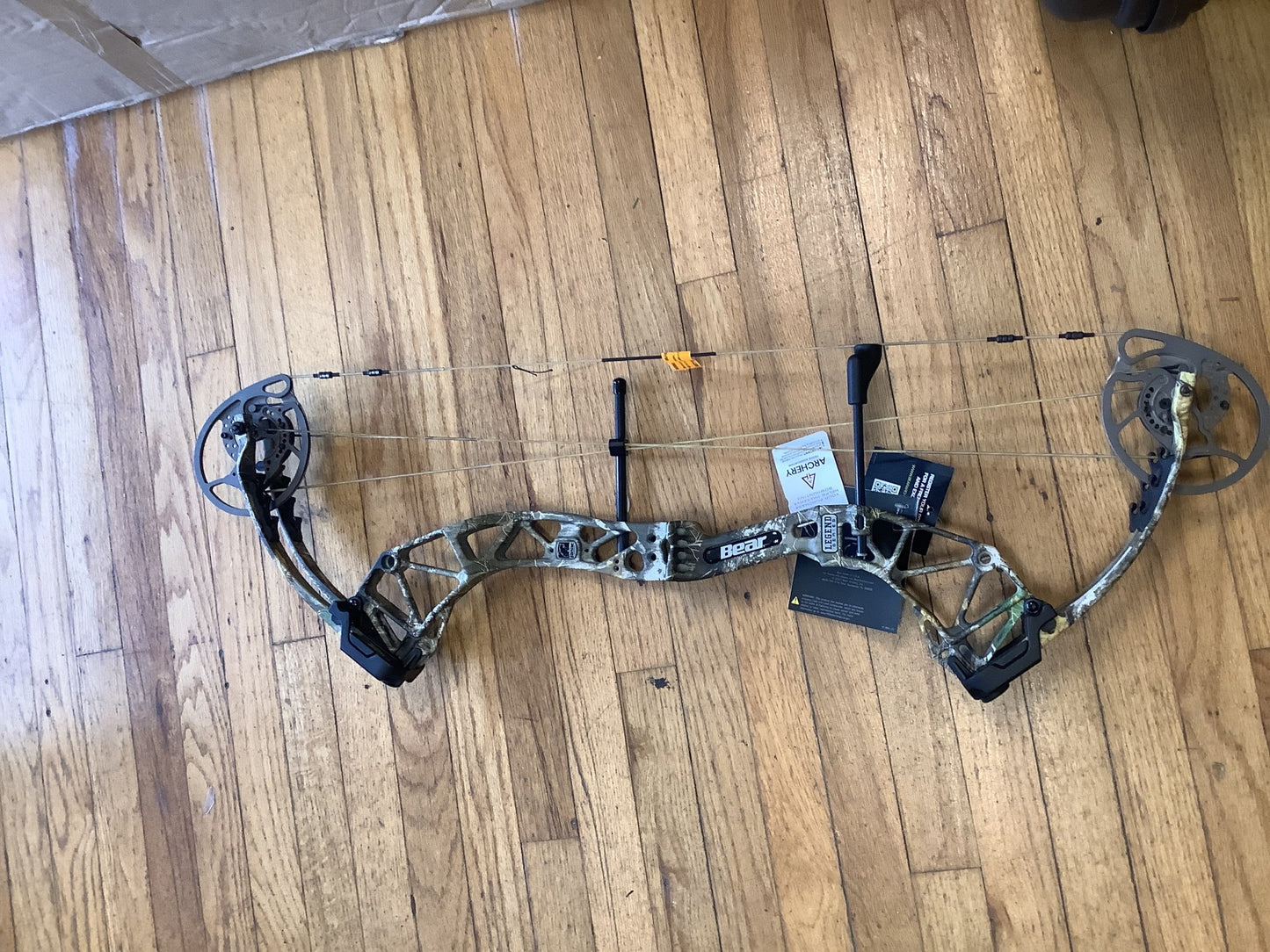 Bear Archery Inception Compound Bow