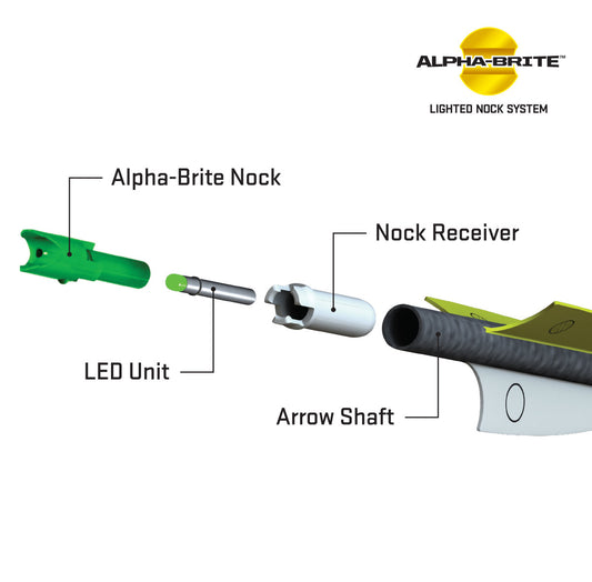 TenPoint 20-inch EVO-X Non-Lighted CenterPunch Premium Carbon Crossbow Arrows (6-pack)