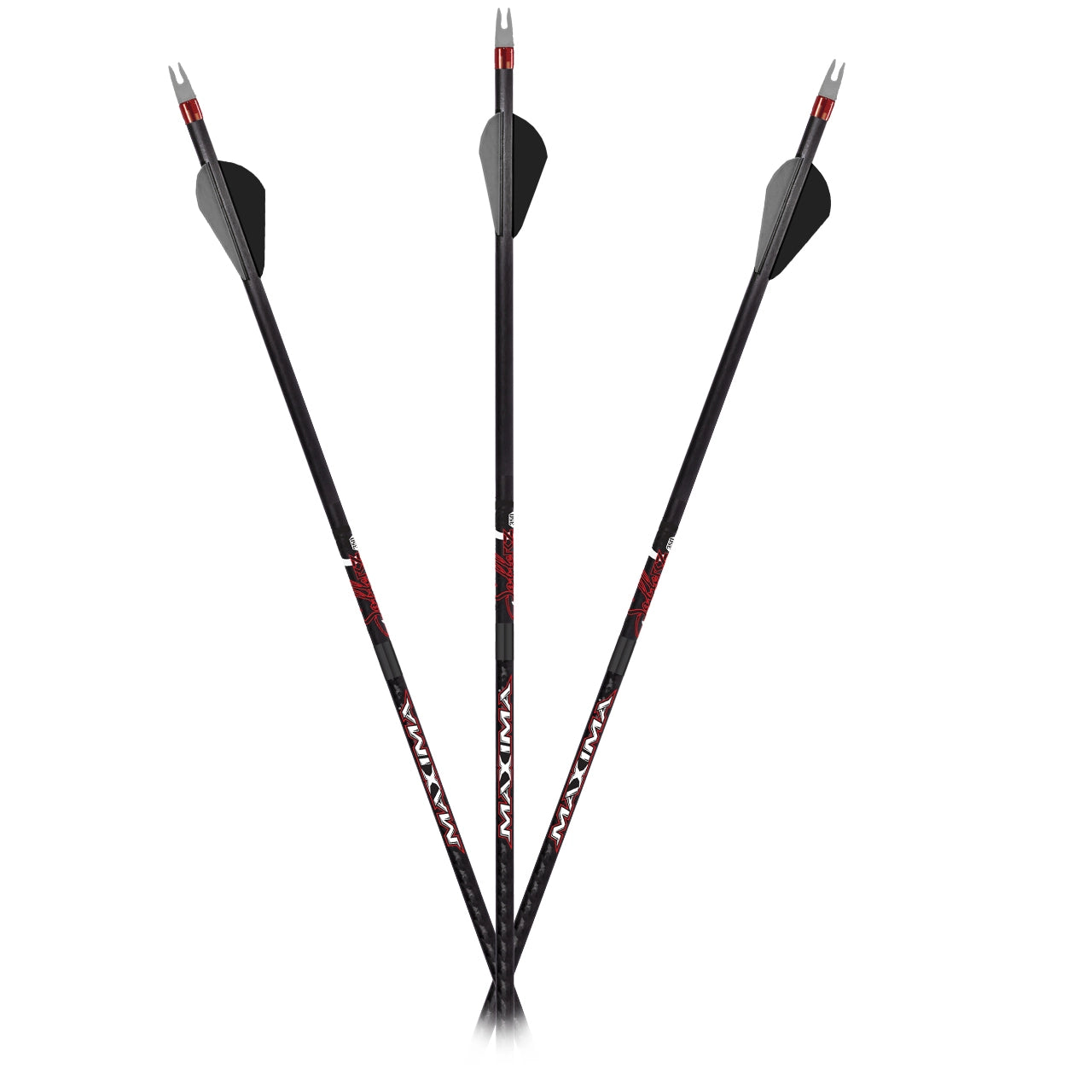 Carbon Express Maxima Sable RZ