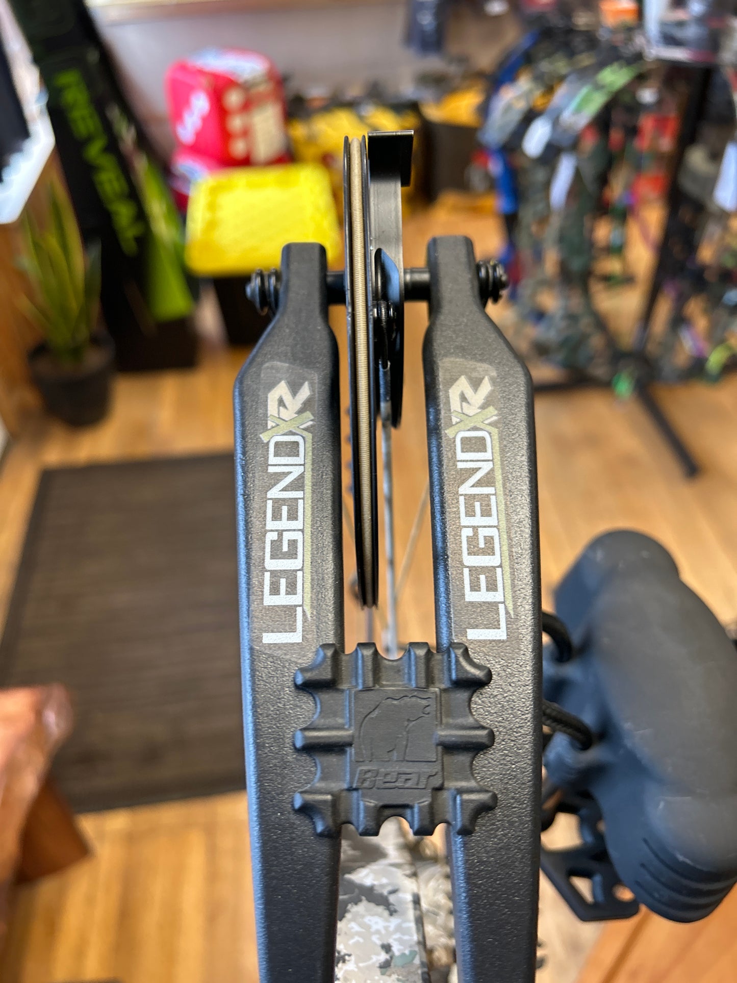 Bear Legend XR RTH