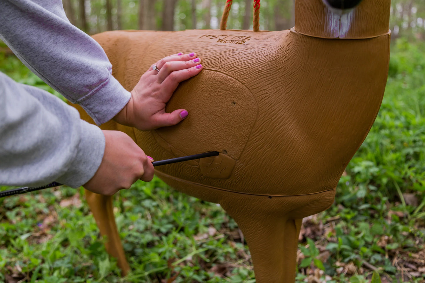 Morrell Transformer Buck