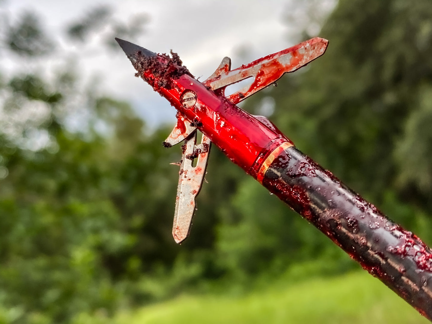 TenPoint EVO-X CenterPunch Broadhead (3-Pack) Crossbow Broadhead