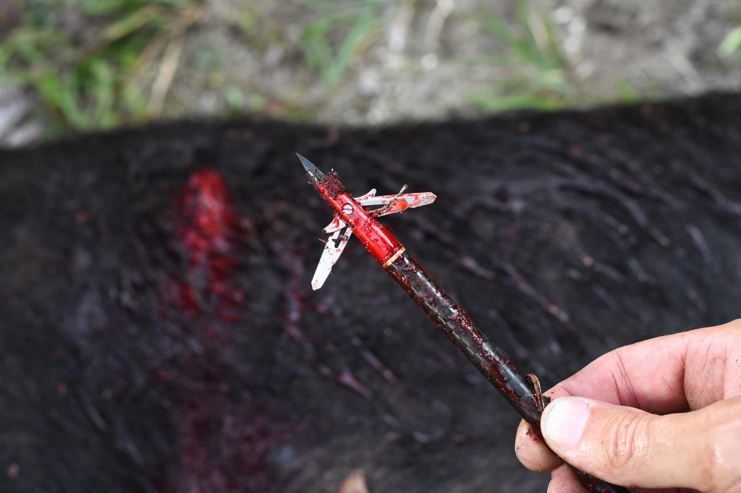 TenPoint EVO-X CenterPunch Broadhead (3-Pack) Crossbow Broadhead