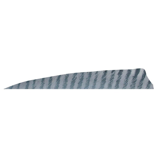 Gateway 4" Shield Barred Feather - Left Wing