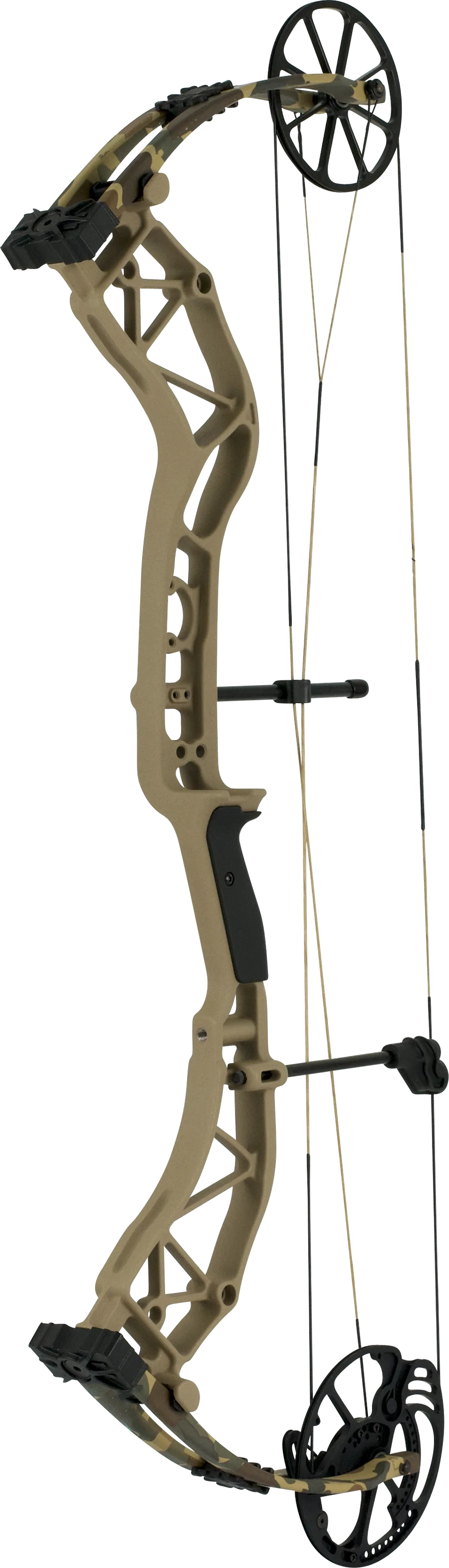 Compound Bow