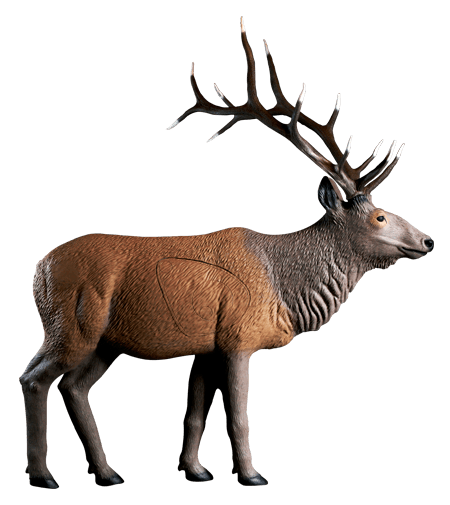 Rinehart Standing Elk